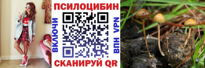Галлюциногенные грибы Cubensis darknet формула Семилуки